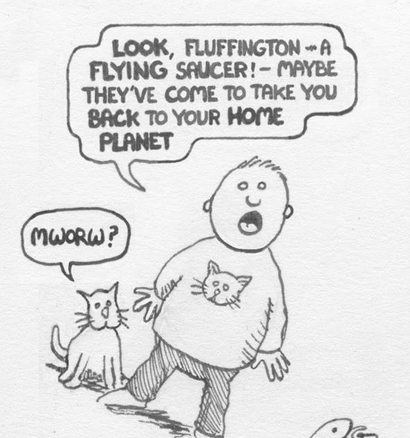 The Meander Box Cat Carrier