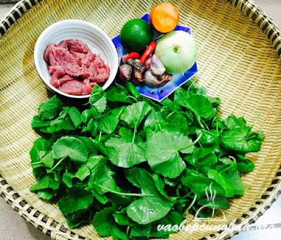 Cách làm gỏi rau má thịt bò 1