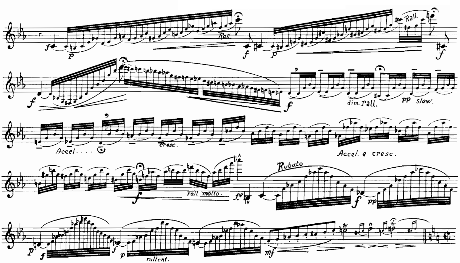 the red hedgehog Finzi Concerto, Op.31 I. Allegro vigoroso