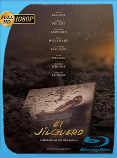 El jilguero (The Goldfinch) (2019) HD [1080p] Latino [GoogleDrive] SXGO