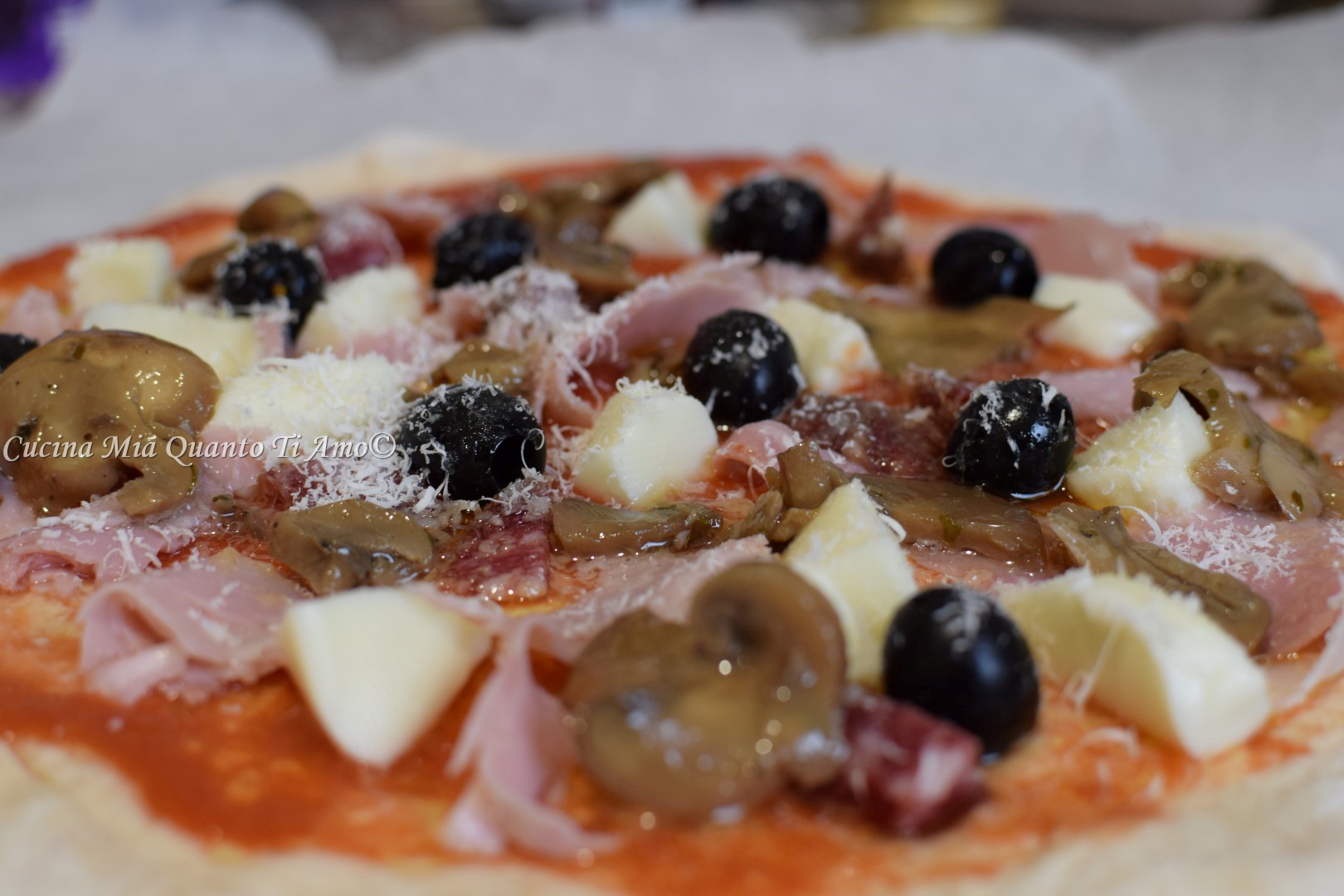 pizza con lievito madre lievitazione 24 ore