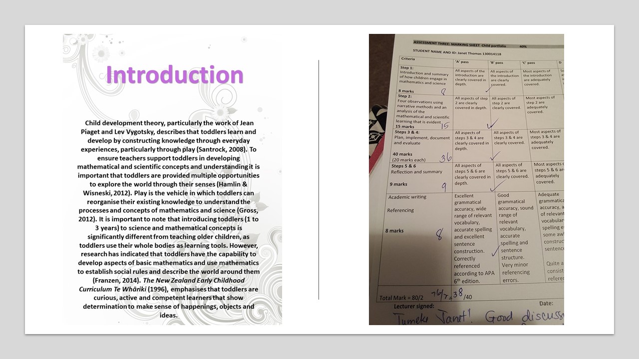 Graduating Teacher Standards Aotearoa New Zealand GTS 1