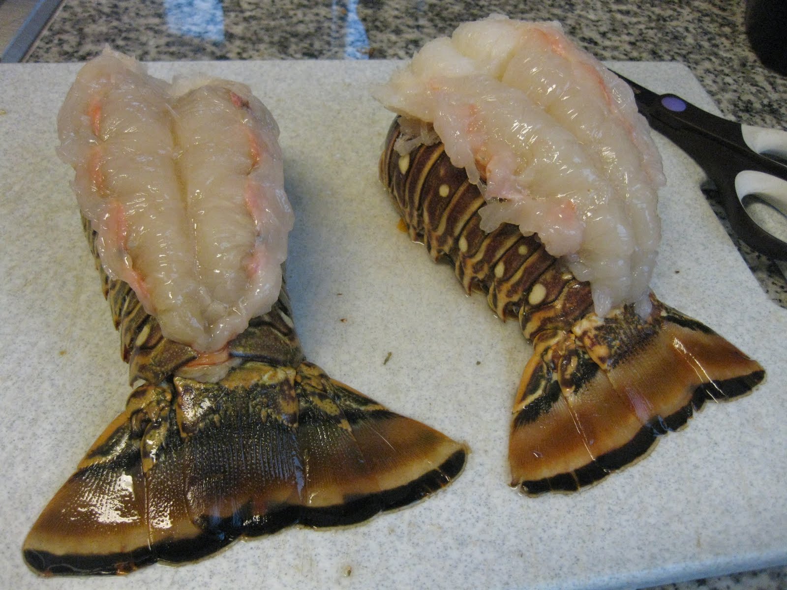 Matt Likes to Cook Matt Likes to Eat Broiled Lobster Tails!!!