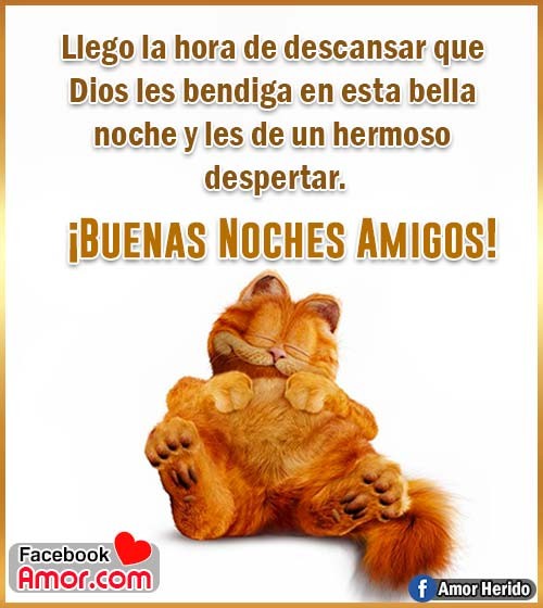 amigos buenas noches