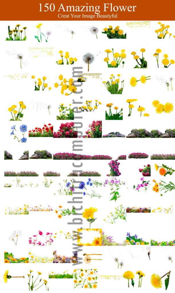 free Flower Corner free Download