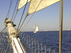 Two Sail Ships Sailing in Unison