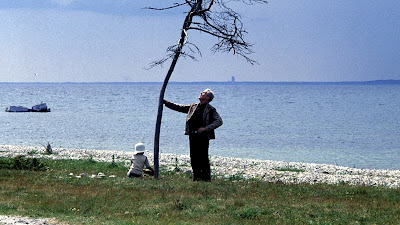 Andrei Tarkovsky's The Sacrifice (1986) Image 3