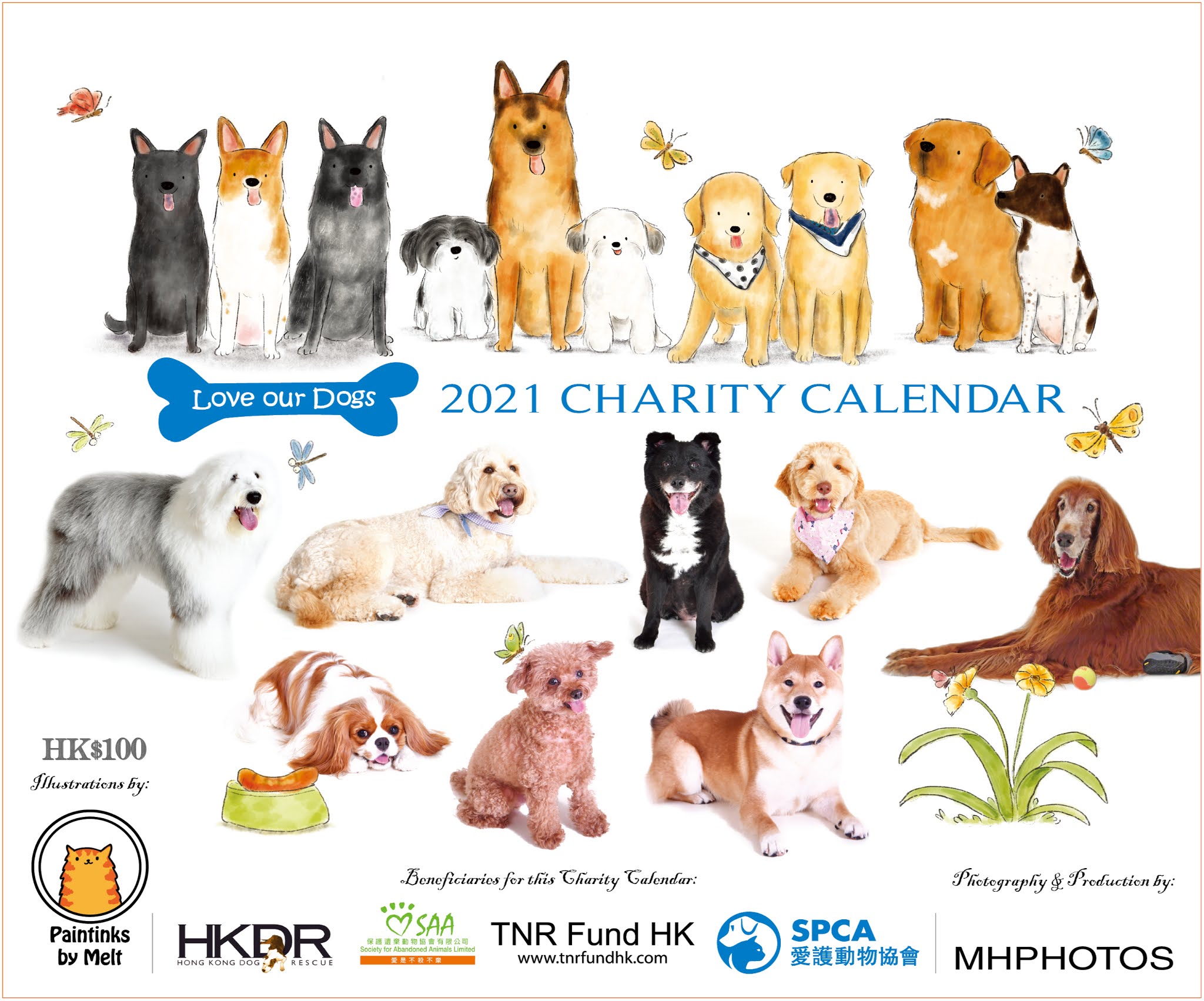 Love Our Dogs Charity Doggies Calendar 2021 LOVE OUR DOGS Charity