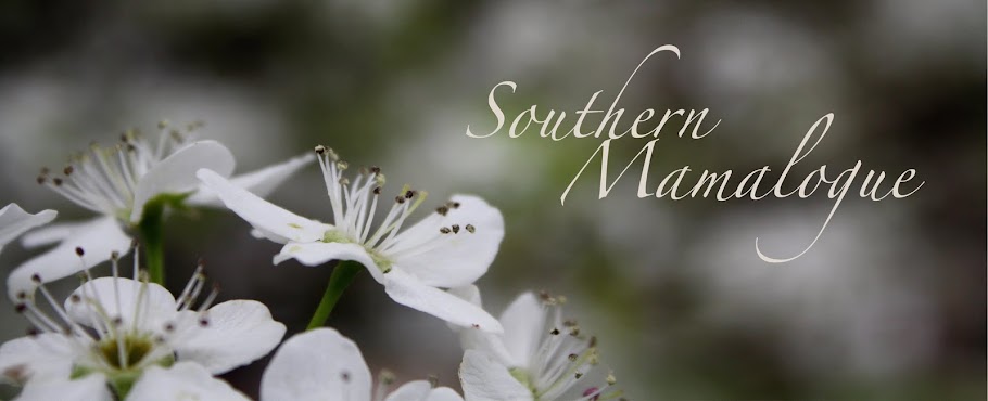 southern mamalogue