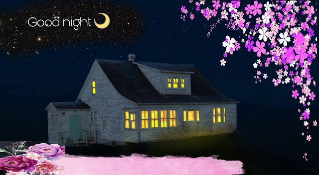 Best Images For Good Night Wishes Best Images For Good Night Wishes