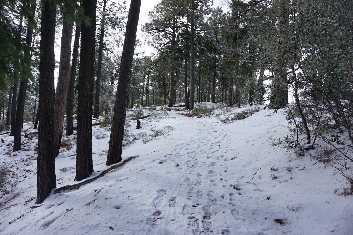Harriman Hiker Harriman State Park and Beyond Box Springs Trailhead