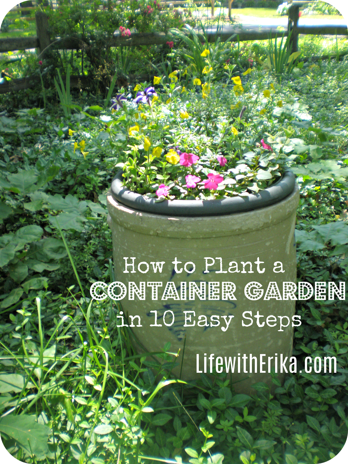 Life with Erika How To Plant a Container Garden in 10 Easy Steps