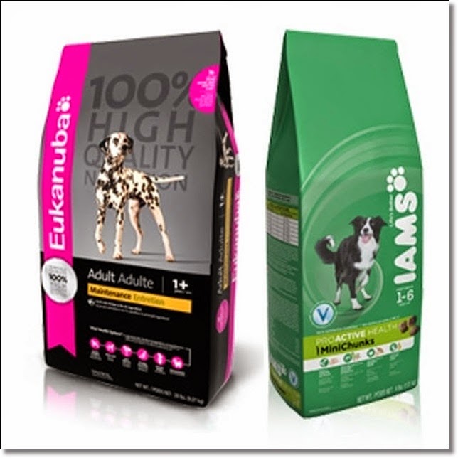 The Pet Tree House Where Pets Are Family Too URGENT! Proctor