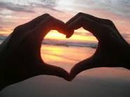 amor amor