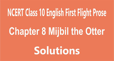 Chapter 8 Mijbil the Otter Chapter 8 Mijbil the Otter
