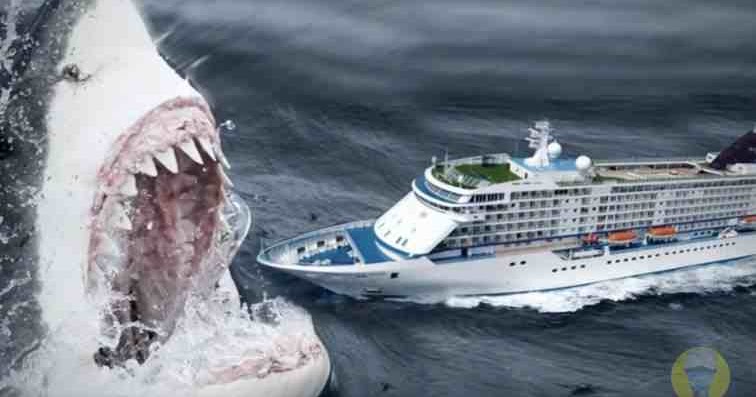 What If Megalodon Sharks Didn't Go Extinct?