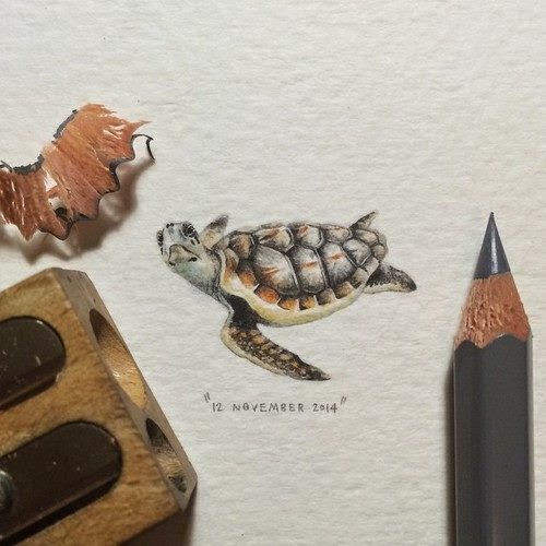 06-Loggerhead-Turtle-Lorraine-Loots-Miniature-Paintings-Commemorating-Special-Occasions-www-designstack-co