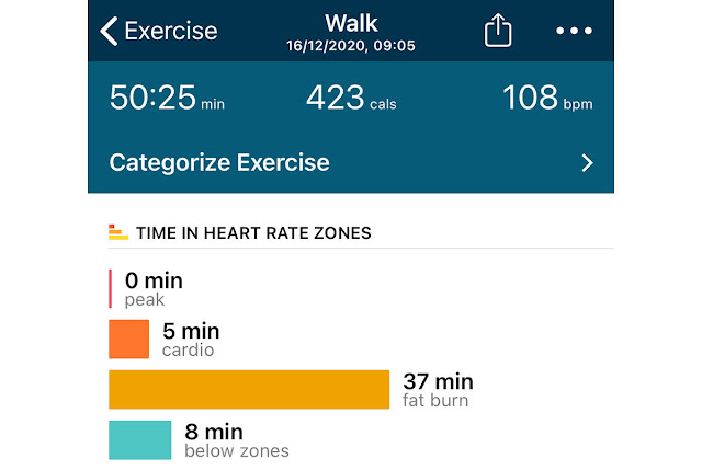 Fitbit Health And Fitness Scores And Stats Explained