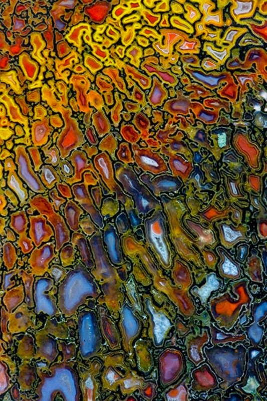 Macro Fotografçılık Bir Kahve Molası