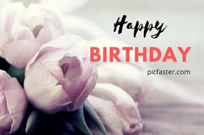 New Happy Birthday Flowers Images Free Download