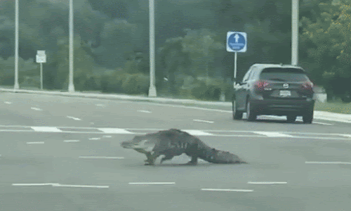 Irtonumeroita 24244 Muut Aiheet Keskustelut Sanaristikot Net