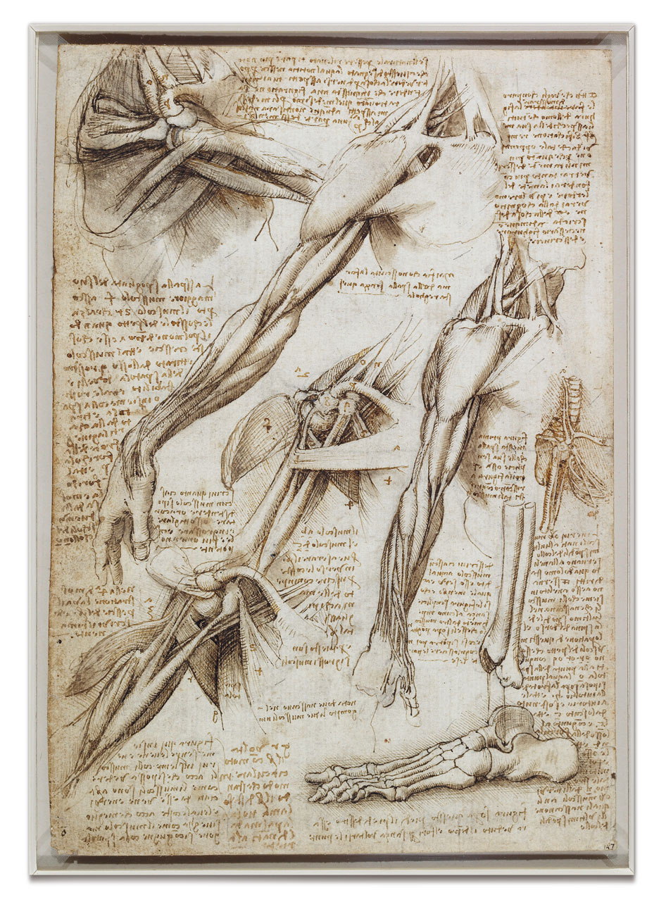Leonardo's Anatomy ~ Irtiqa
