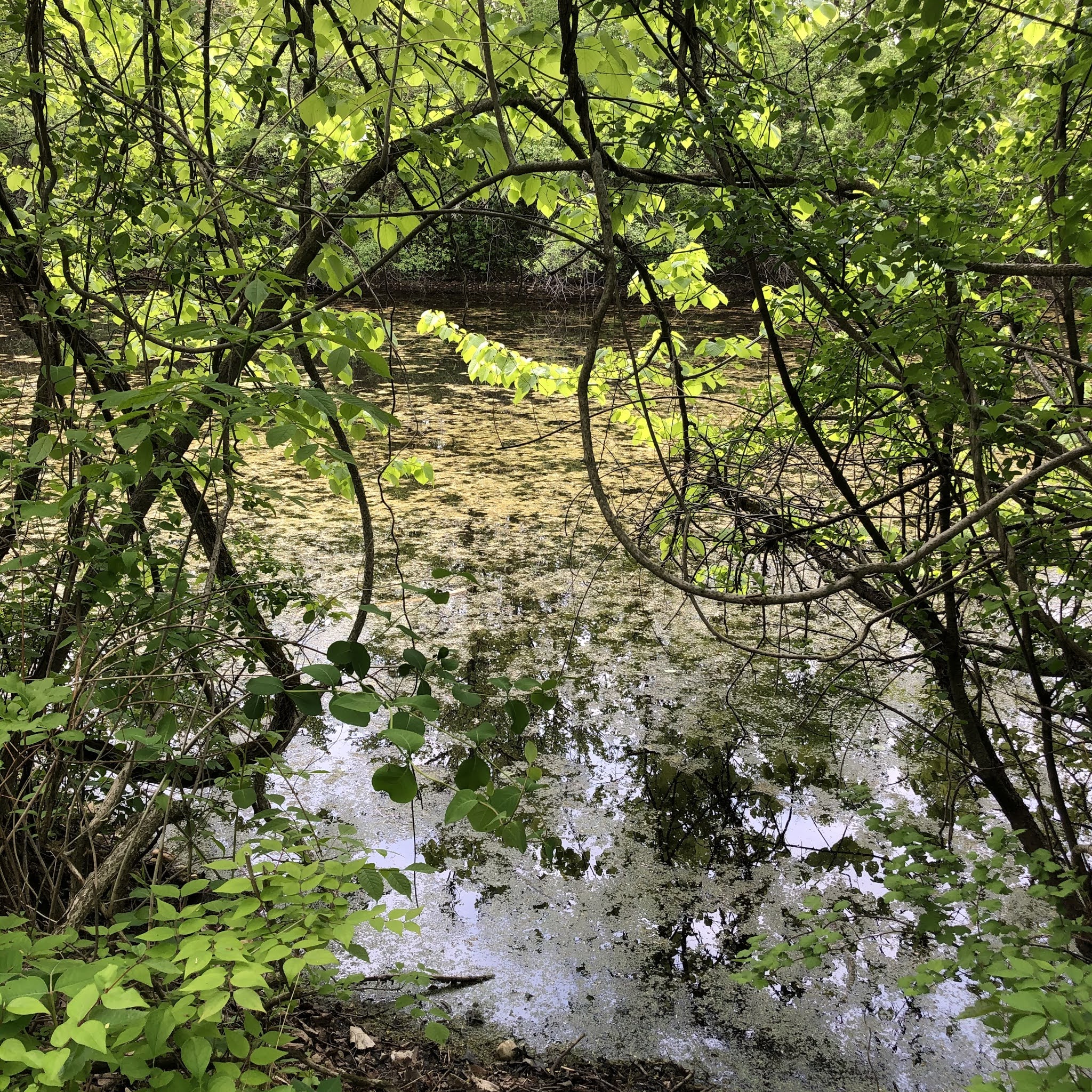 A Little Time and a Keyboard Hiking the Rolling Trails and Spying