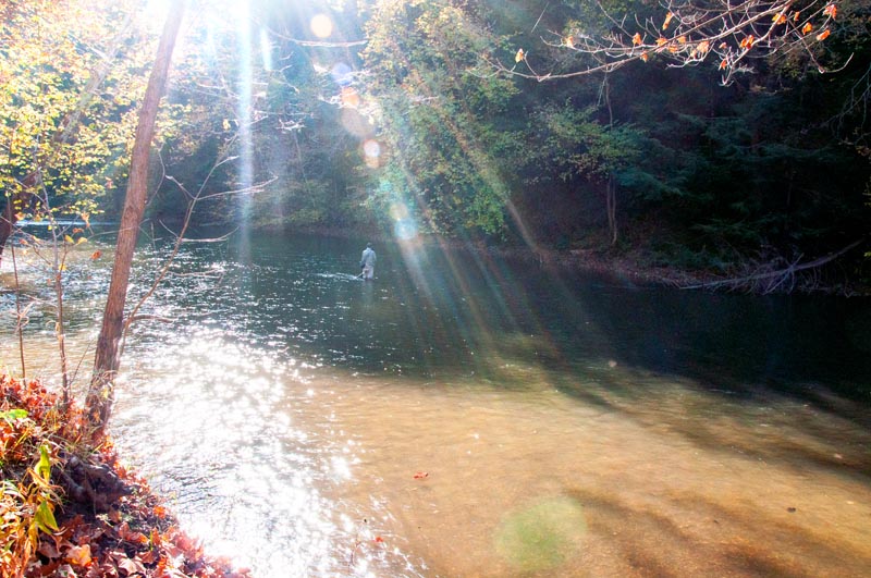 All Things Fishing The Lower Clear Fork River in Mohican State Park