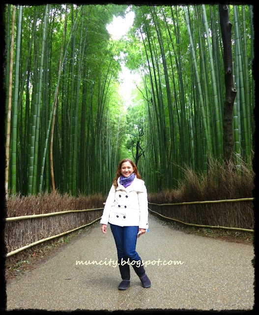 My Image 23