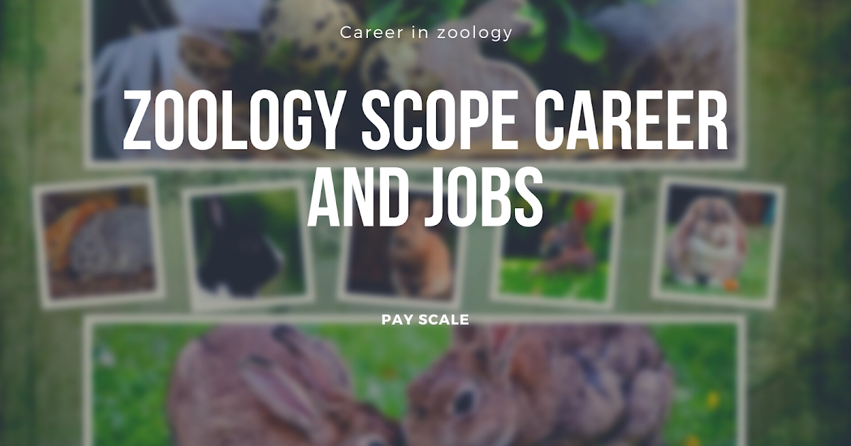 What is Zoology Scope Career and Jobs in Field of Zoology