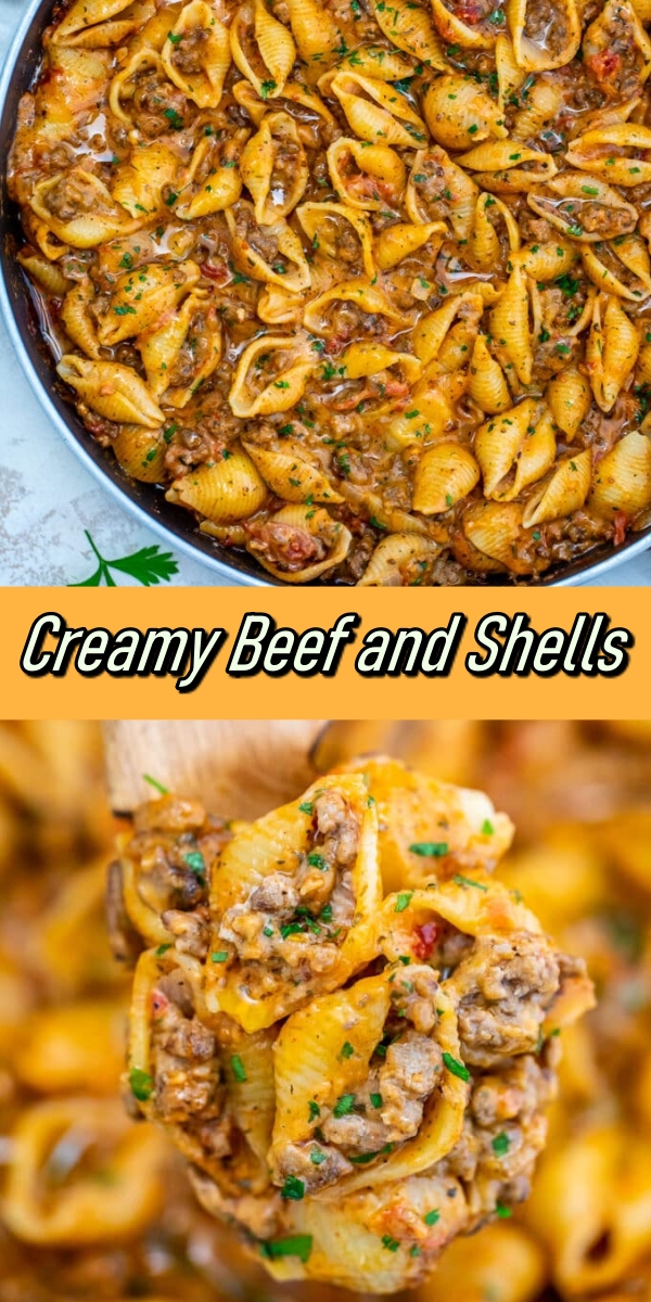 Creamy Beef and Shells - Recipe Notes