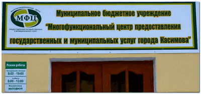 мфц рязань. Gogov. мфц информация. мфц касимов часы работы. невеста в мфц.