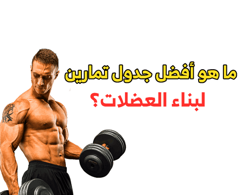 جدول تمارين كمال الاجسام تضخيم