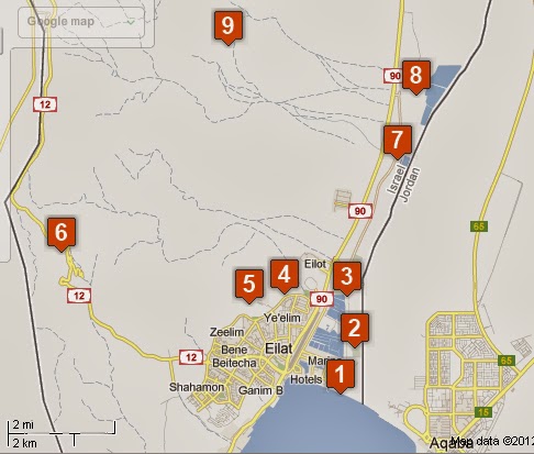 ISRAEL BIRD TRIP REPORT 2012: ISRAEL BIRD TRIP REPORT 2012