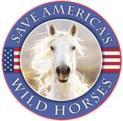 Saving America's Wild Horses