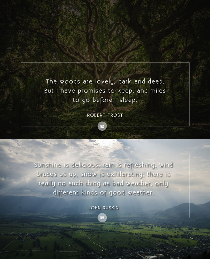 Quote Design Wailing of a Mountain Man Lost in a Concrete Jungle