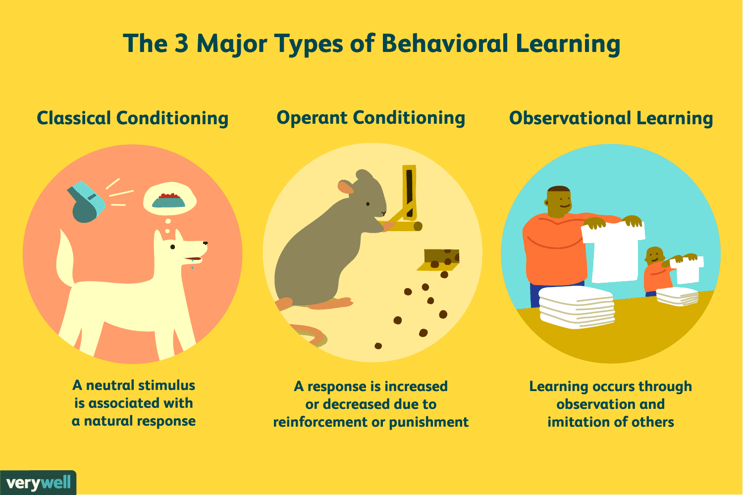 behavioral learning theory case study
