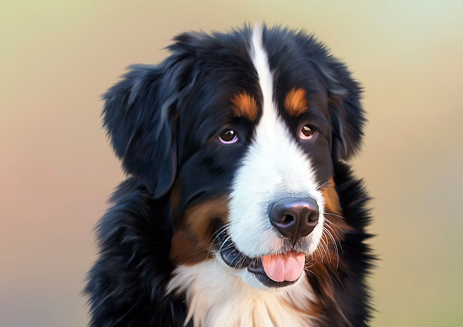 Training Greater Swiss Mountain Dogs Commands Every Dog Should Know