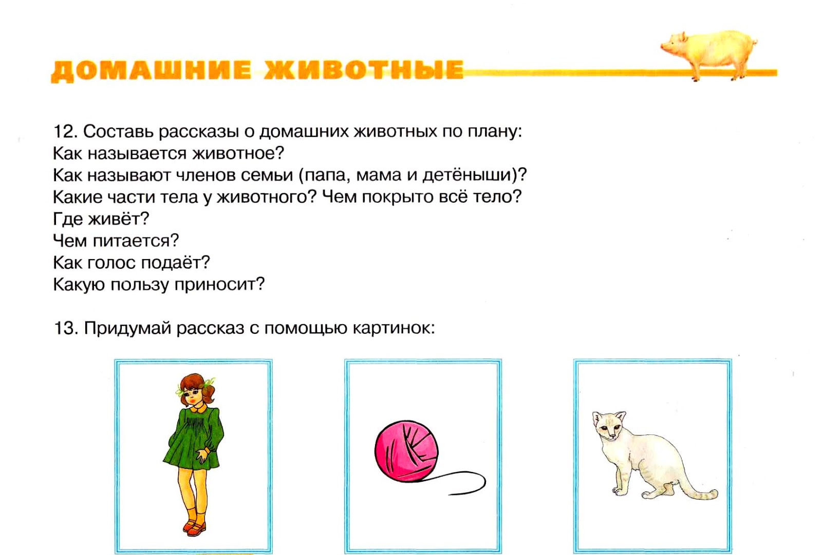 План рассказа о домашнем питомце