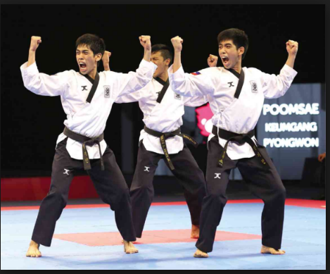 Nama dan Istilah Gerakan Dasar Taekwondo ~ TAEKWONDO GARUDA CLUB