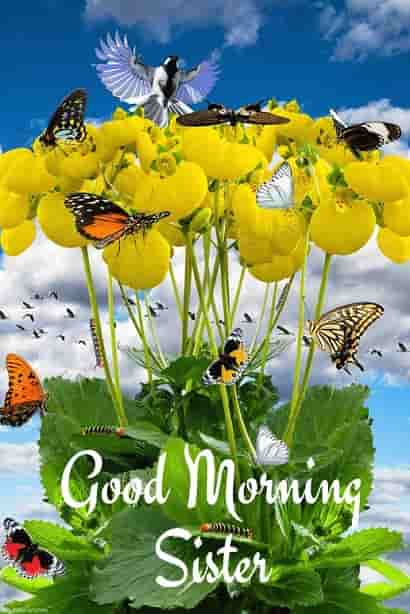 good-morning-sister-photo good morning sister photo