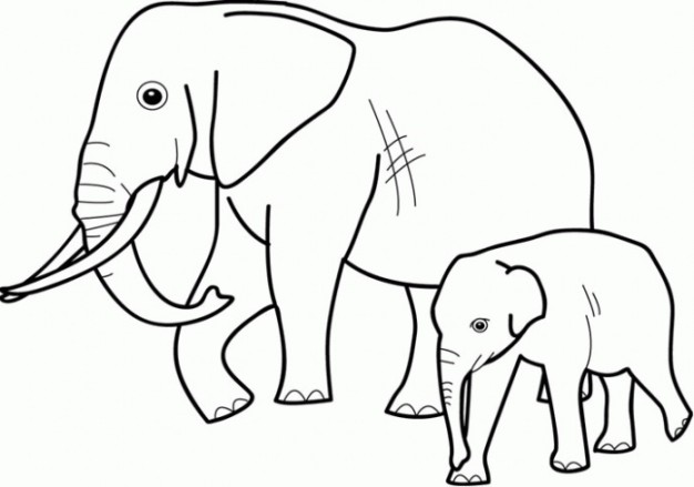 Gambar Mewarnai Gajah