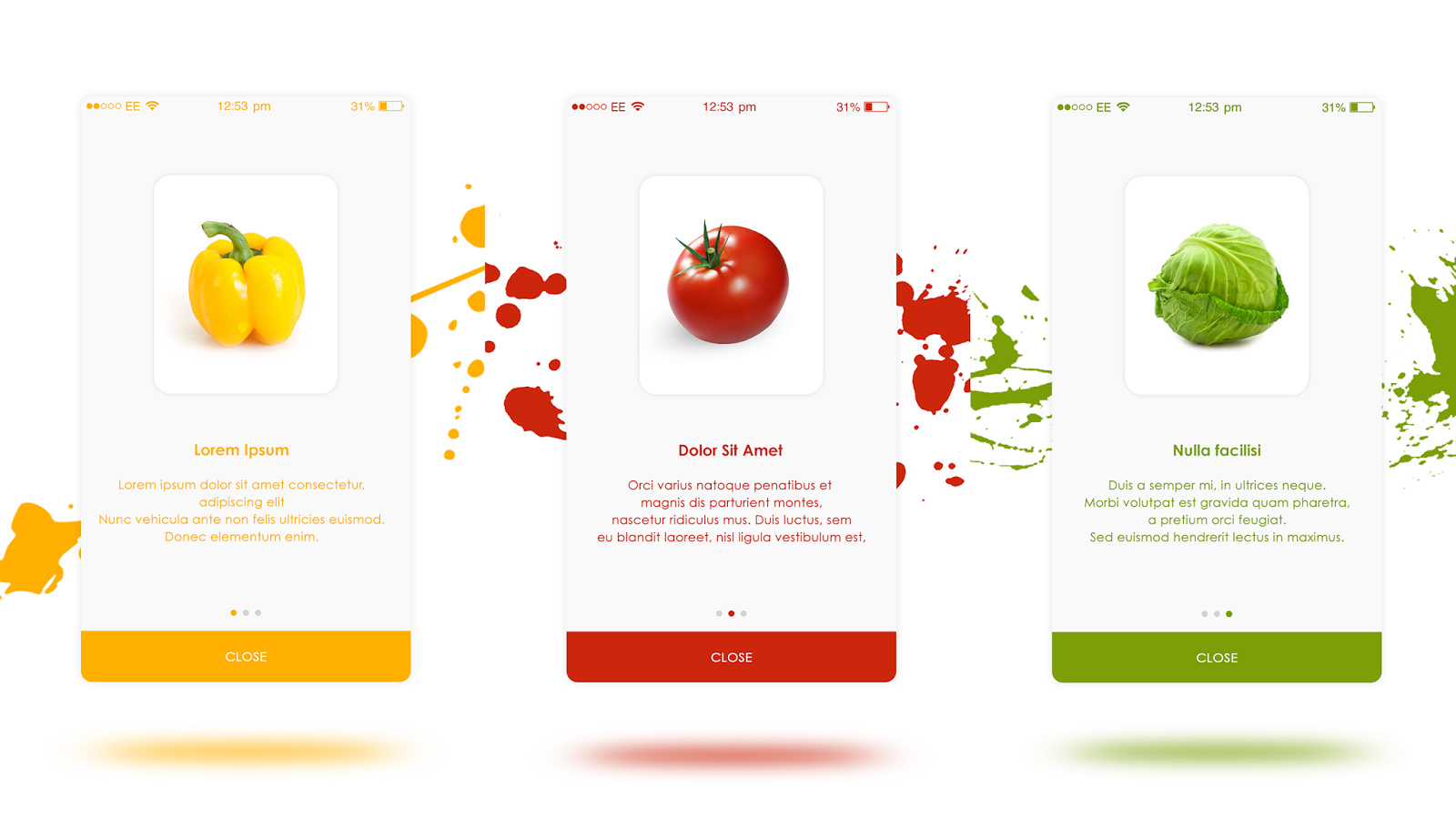 Grocery App Introduction Slides For Android And iOS App Grocery App Introduction Slides For Android And iOS App