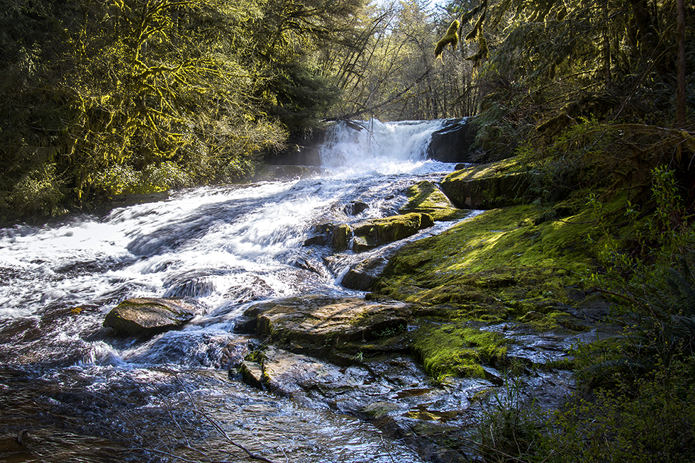 Photographing Oregon Alsea Falls