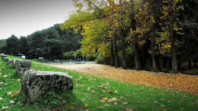 La Panera en otoño - AlfonsoyAmigos