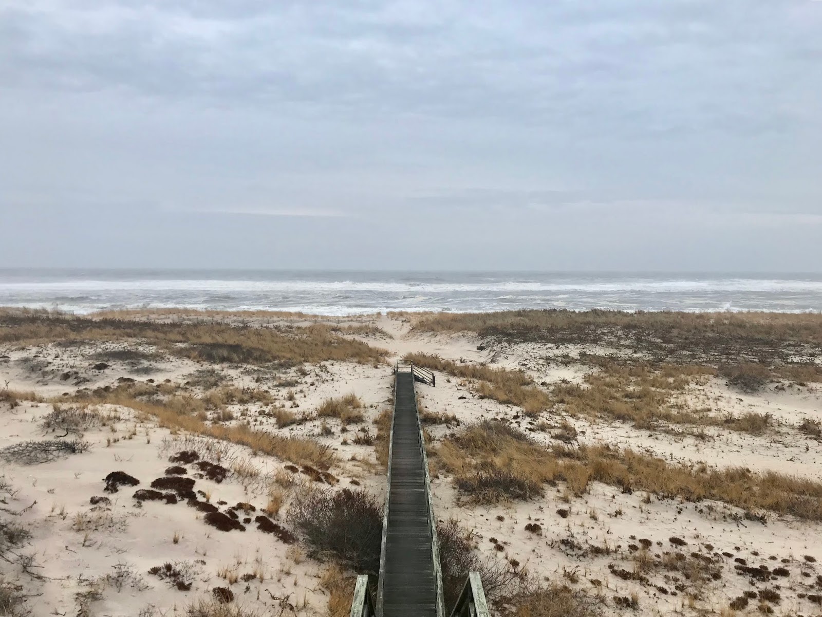 Robert Lohman's Photos of the Hamptons Dune access