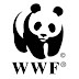 Job Opportunity at Project Executant at WWF, Project Executant