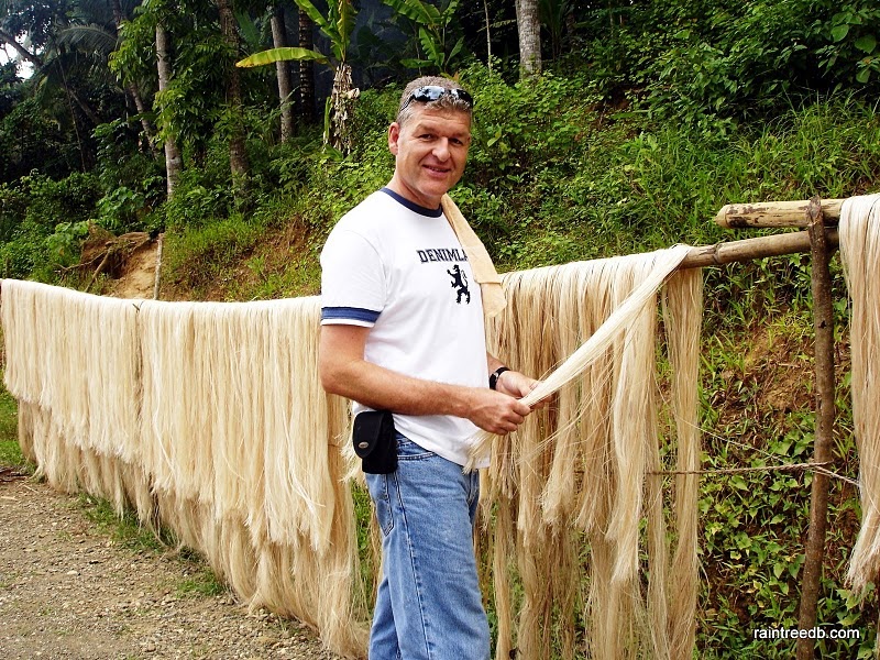 Abaca or banana in the Philippines