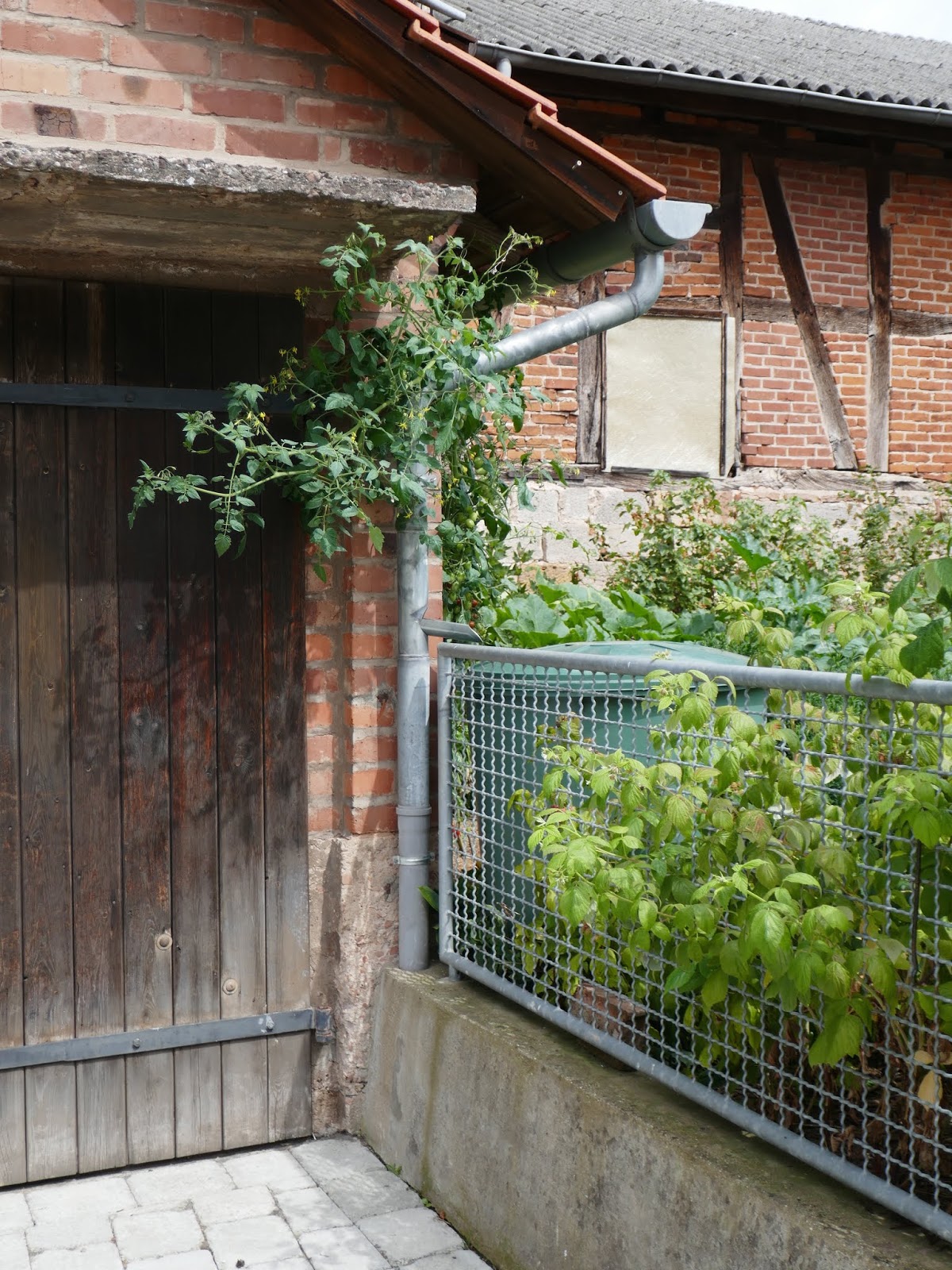 Schmiedegarten Ausreisser Und Einwanderer