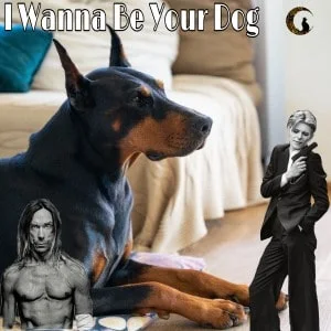 Iggy Pop & The Stooges - I wanna be your dog